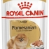 Royal Canin паштет для собак породы Померанский шпиц