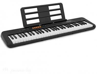 Casio CT-S100