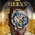 OLEVS 6670