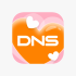 DNS